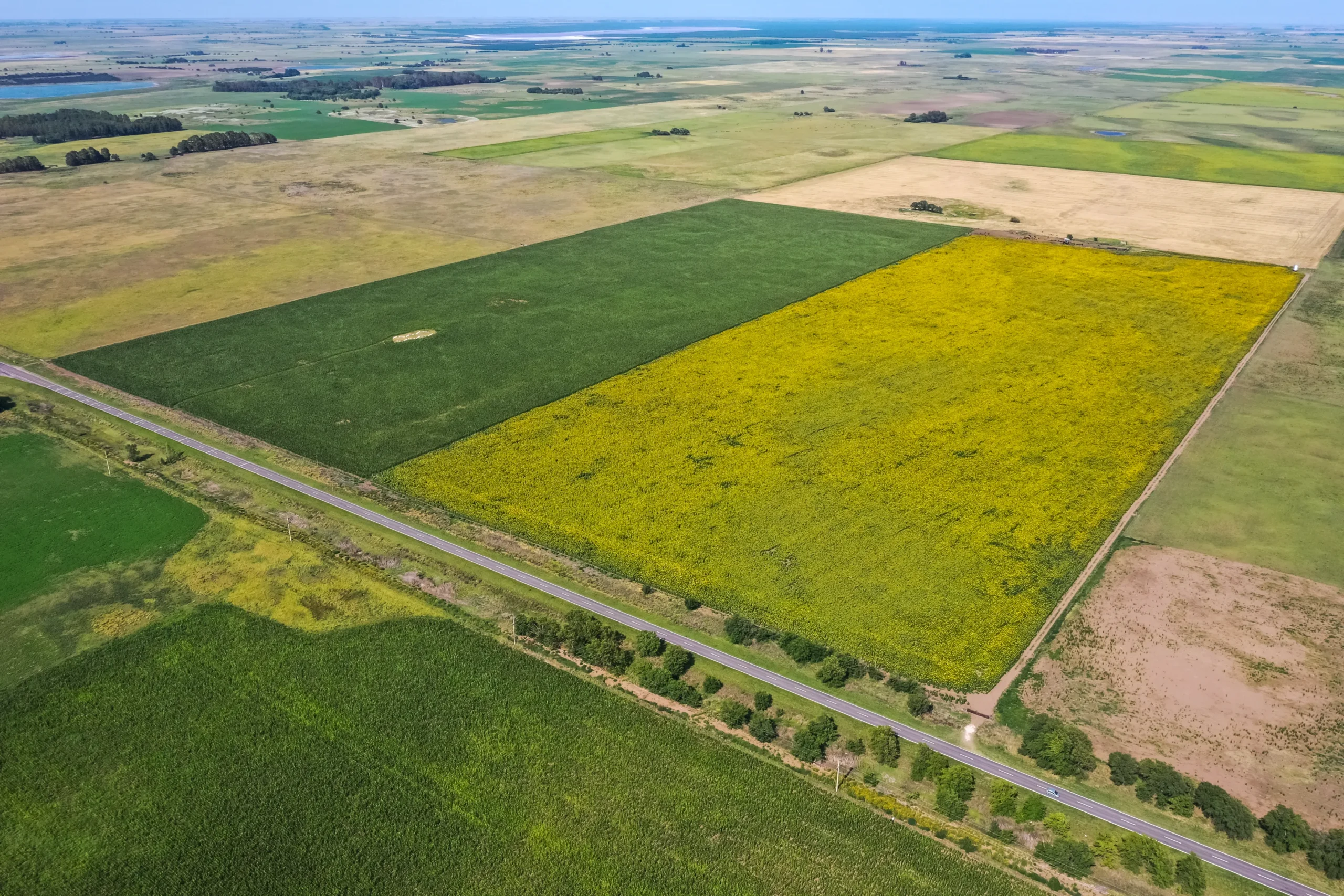 Why Selling Your Land to Riverstone Land Beats the Realtor Route